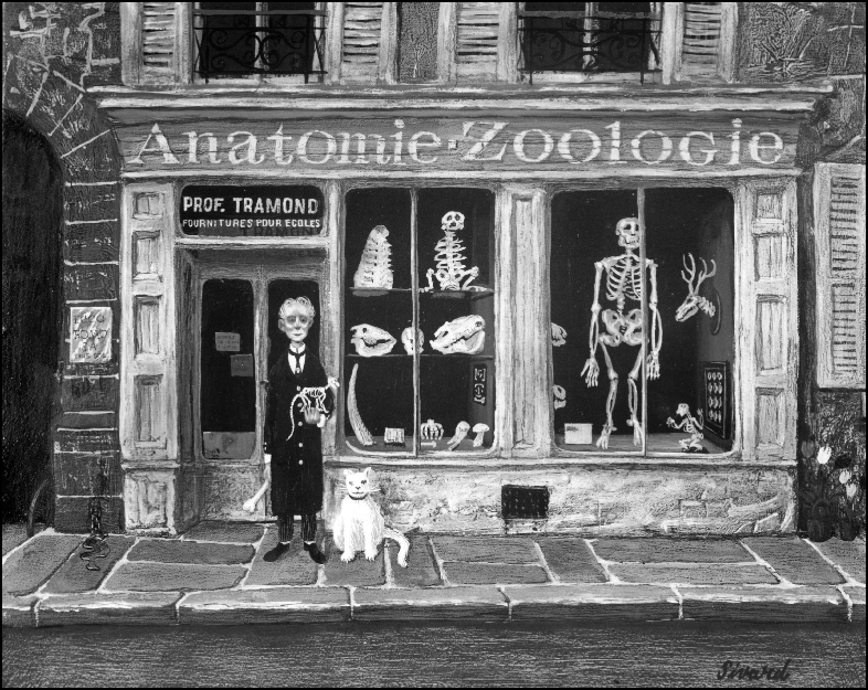 AnatomieIdetail350dpi